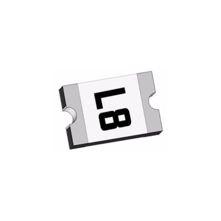 54566572