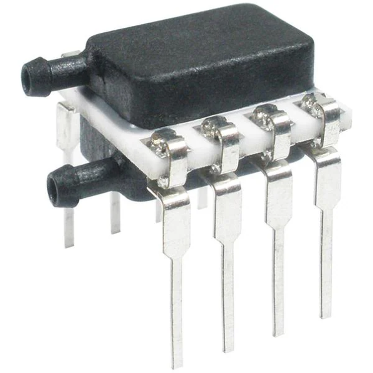 55394317