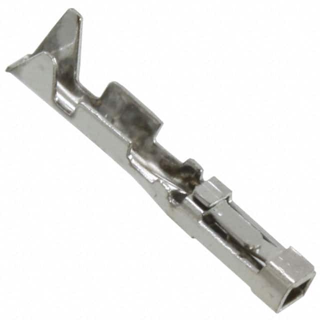 55482824