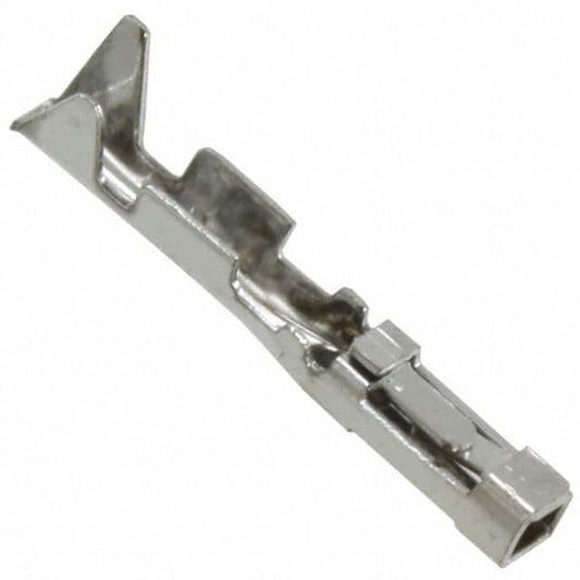 55482824