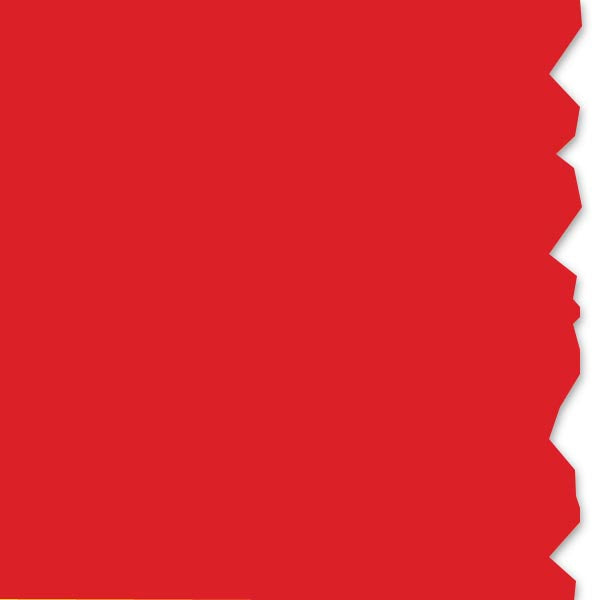 558-00006.jpg