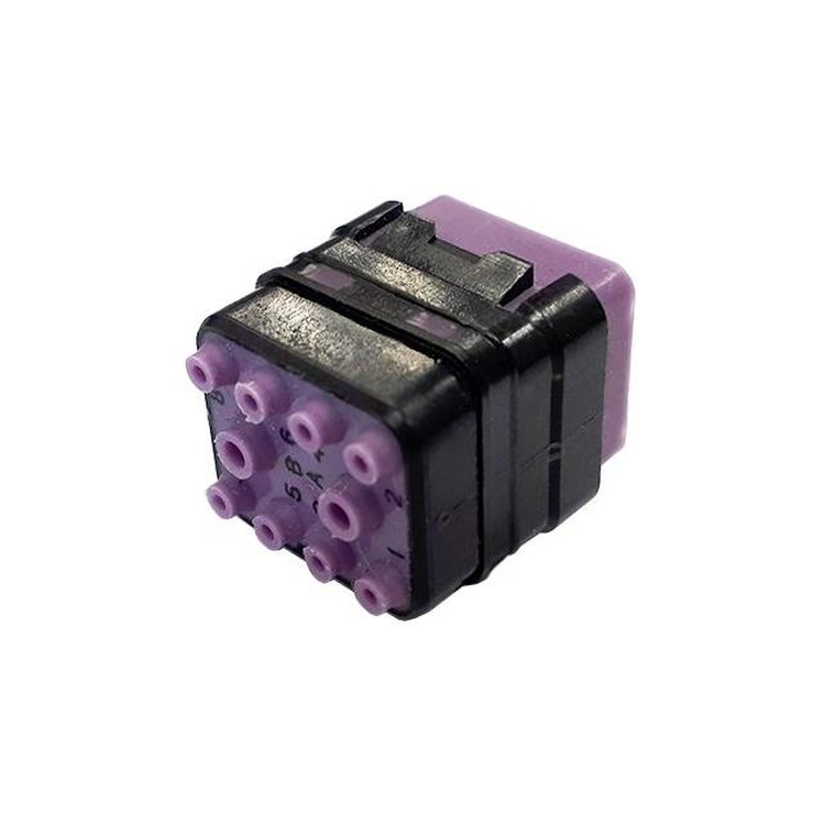55998979