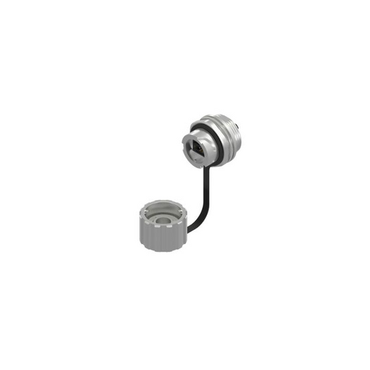 56582194