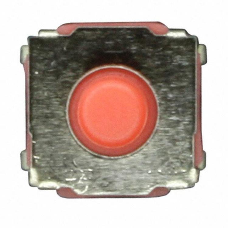 56953620