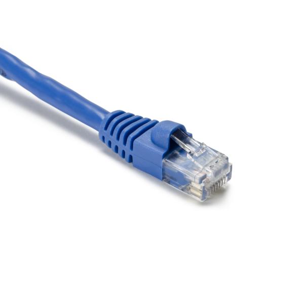 PC6BLU7S.jpg