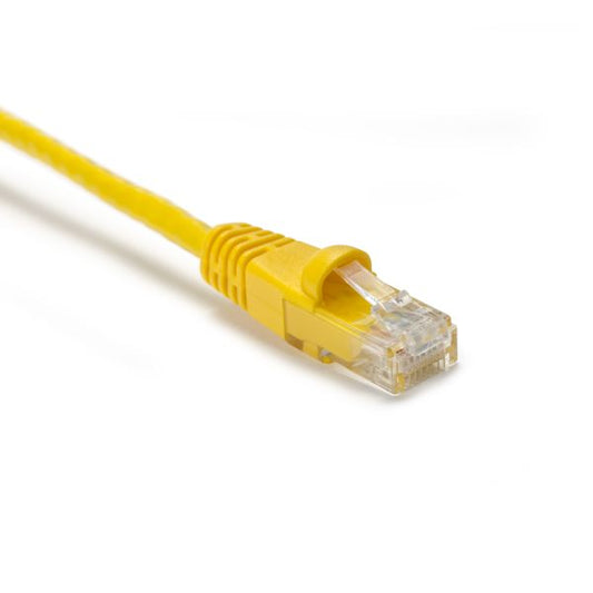 PC6YEL25S.jpg