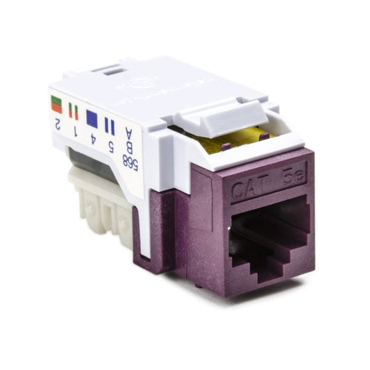 RJ45FC5E-VIO.jpg
