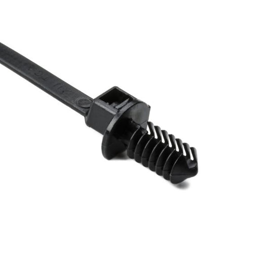 T50RTM250HSM4.jpg